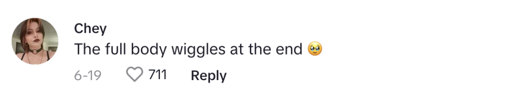 TikTok comment